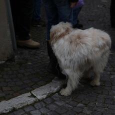 IMG_5451