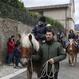 FESTA DI SANT'ANTONIO NORCIA 2014