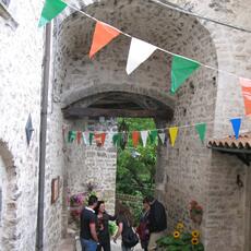 IMG_7950