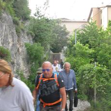IMG_9719