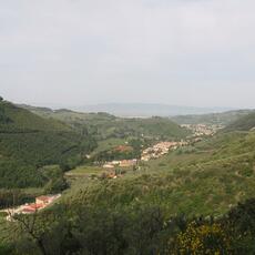 IMG_9724