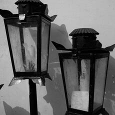 IMG_0310