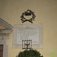 IMG_6906