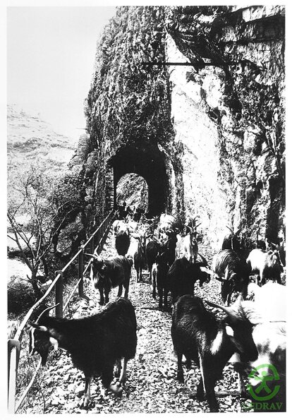 Ponte-Capre-1970b