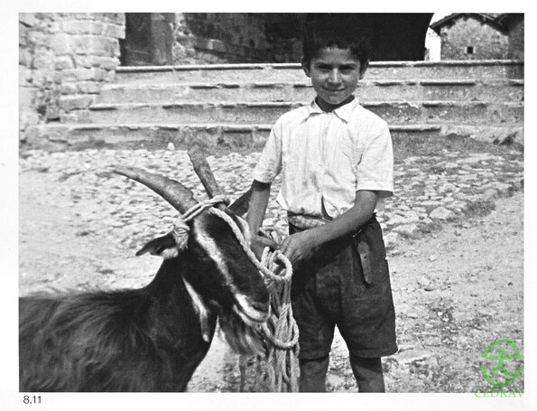 SanGiorgio-Capra_Facciuta-1950