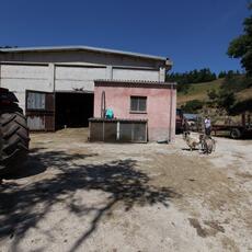 IMG_8083