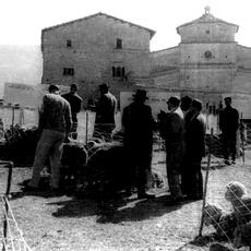 macereto copia