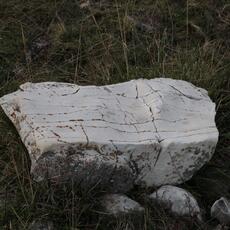 IMG_2281