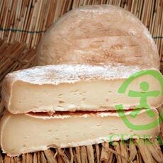 Caciotta