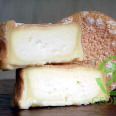 Caprino2
