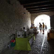 IMG_7218