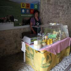 IMG_7219