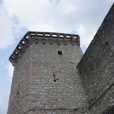 DSC006301