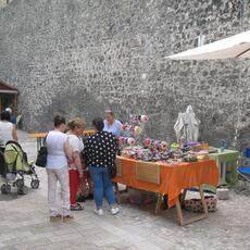IMG_1329