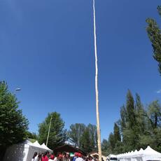 IMG_7435