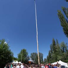 IMG_7447