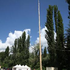 IMG_9684