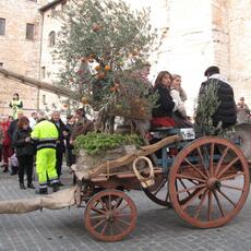 IMG_8930