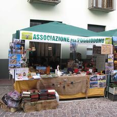 IMG_8330