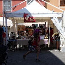 IMG_4102
