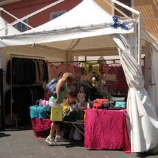 IMG_4243
