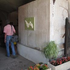 IMG_4251