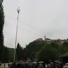 IMG_9565