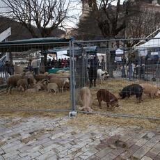 IMG_5846