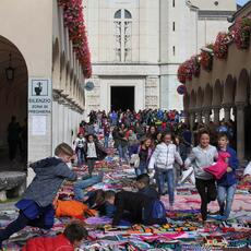 IMG_8658