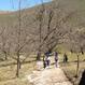 PASQUETTA A FRASCARO DI NORCIA 2017