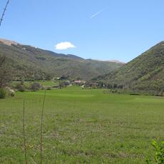 IMG_8225