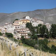 IMG_8553