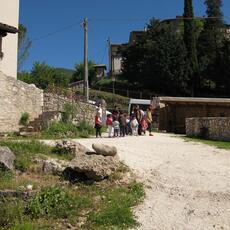IMG_2861