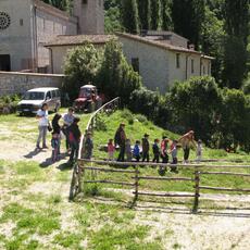 IMG_2862