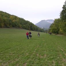DSCN0204