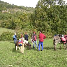 DSCN0207