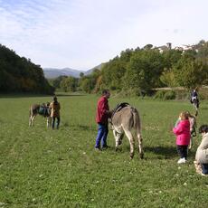 DSCN0216