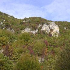 DSCN0217