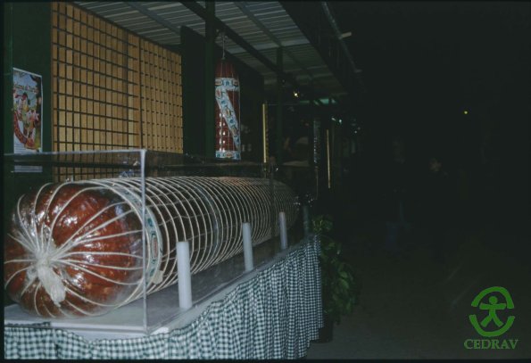 Norcia mostra tartufo 1998-8