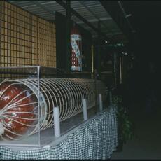 Norcia mostra tartufo 1998-8