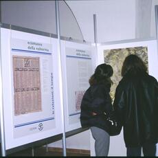 Norcia mostra tartufo 1998-mostra maiale10