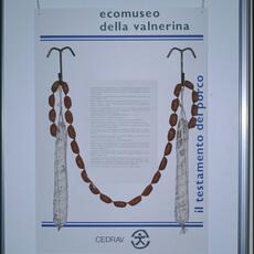 Norcia mostra tartufo 1998-mostra maiale11