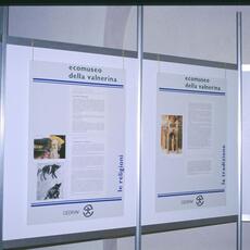 Norcia mostra tartufo 1998-mostra maiale14