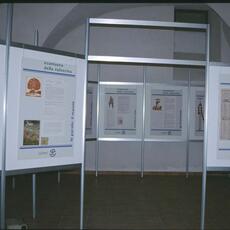 Norcia mostra tartufo 1998-mostra maiale9