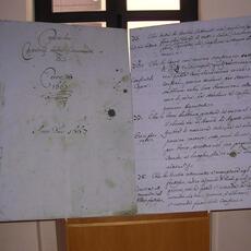 tendital 105
