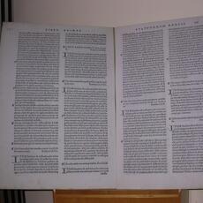 tendital 106