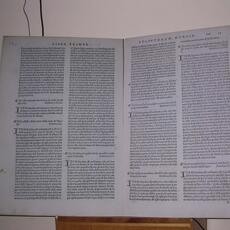 tendital 107