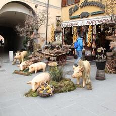 IMG_2551