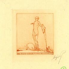 Franz Von Bairos A heliografia