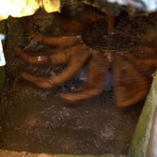 Mulino Acqua Preci_0138